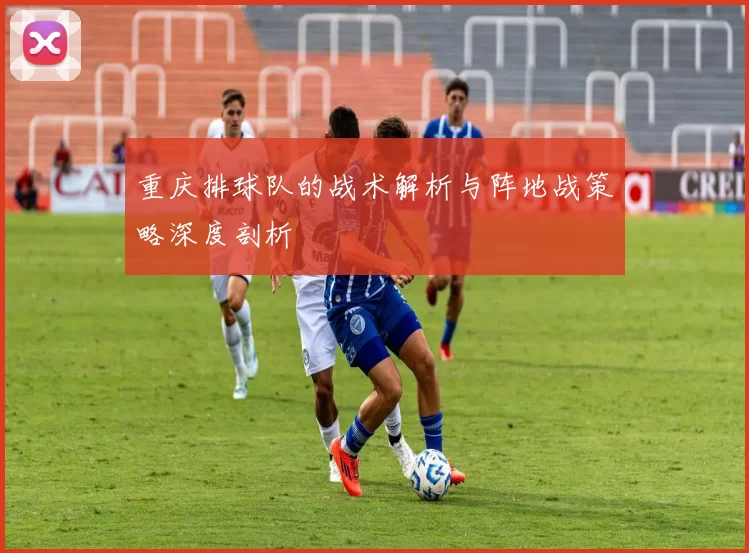 重庆排球队的战术解析与阵地战策略深度剖析