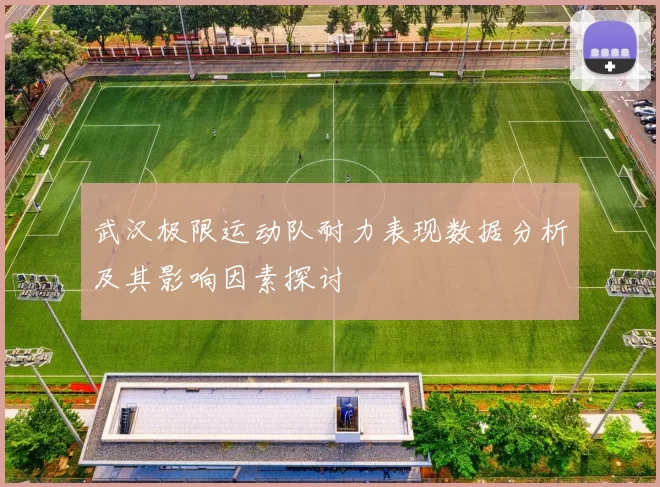 武汉极限运动队耐力表现数据分析及其影响因素探讨