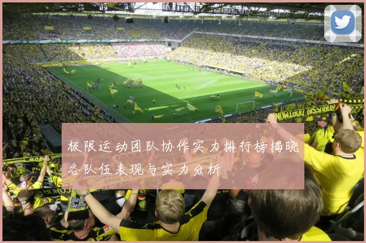 极限运动团队协作实力排行榜揭晓各队伍表现与实力分析