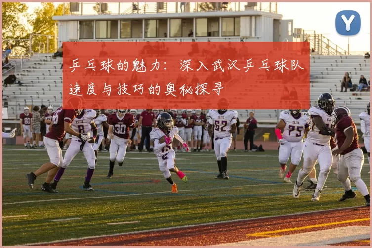 乒乓球的魅力：深入武汉乒乓球队速度与技巧的奥秘探寻
