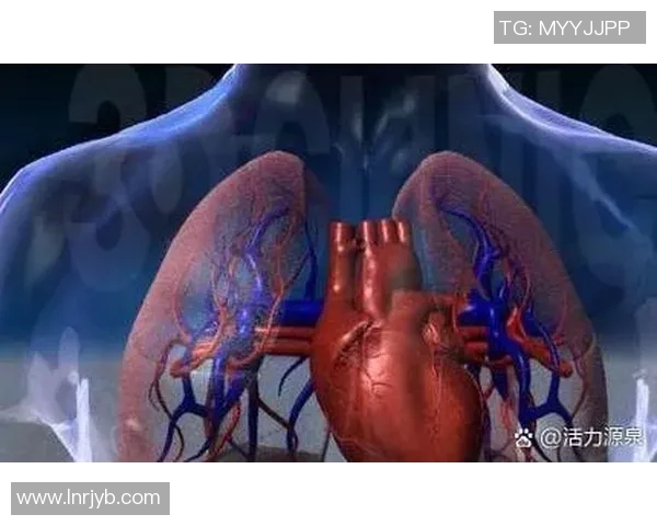 提升心肺功能与减脂效果的全方位有氧运动指南