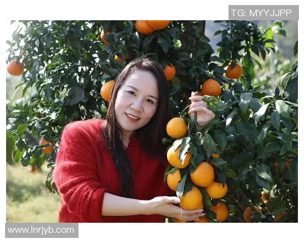 果园采摘乐：亲手体验丰收的喜悦与自然的馈赠